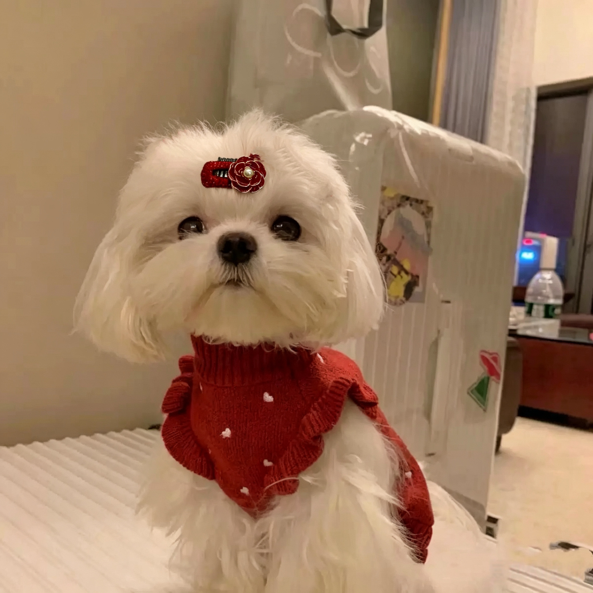 Rich Red Series Handmade Pet Hair Clips