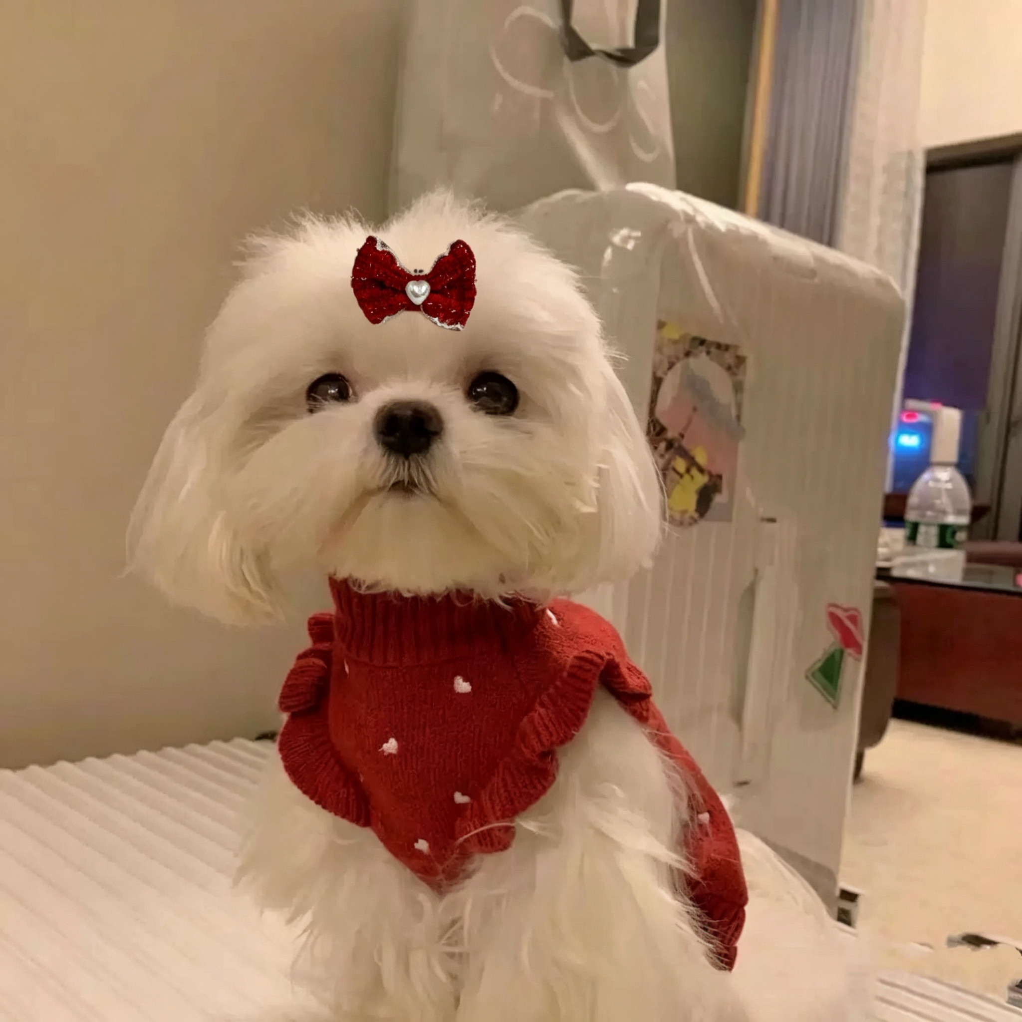 2pcs Fabric Bow Elastic Pet Hair Bands