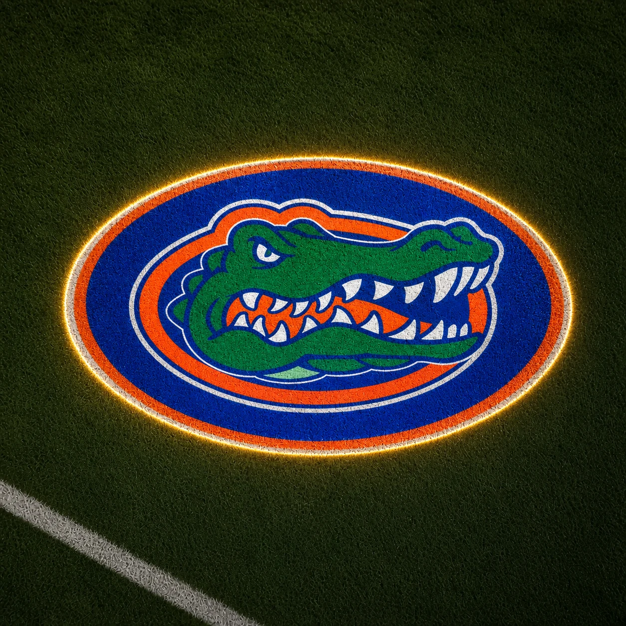 Florida Gators Football Car Door Projector Light