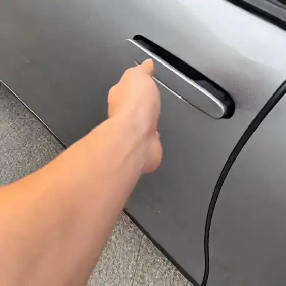 Pokemon Team Door Light Projection Demonstration