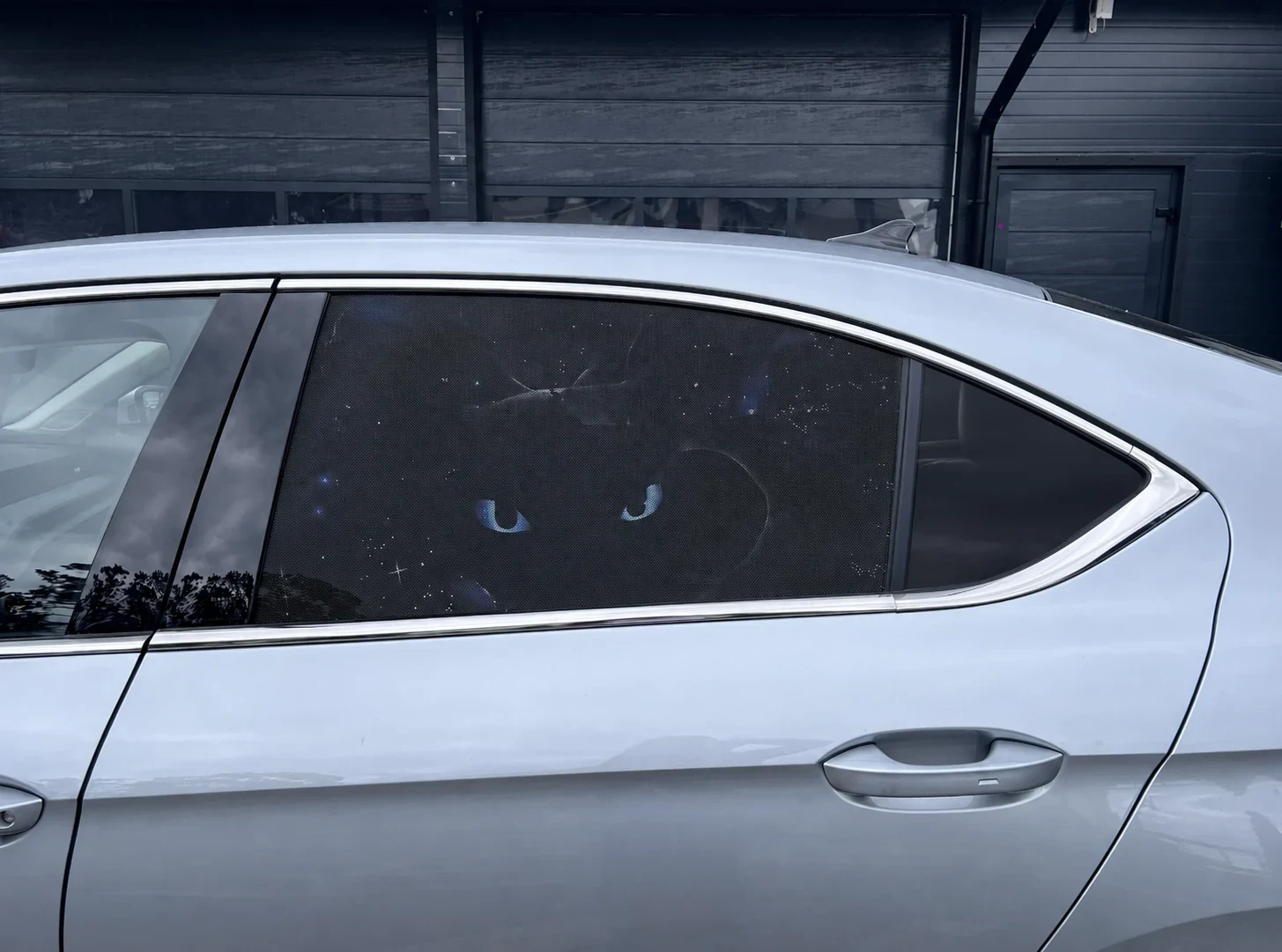 Toothless Animal Car Window Stickers Carving Style - Both Sides