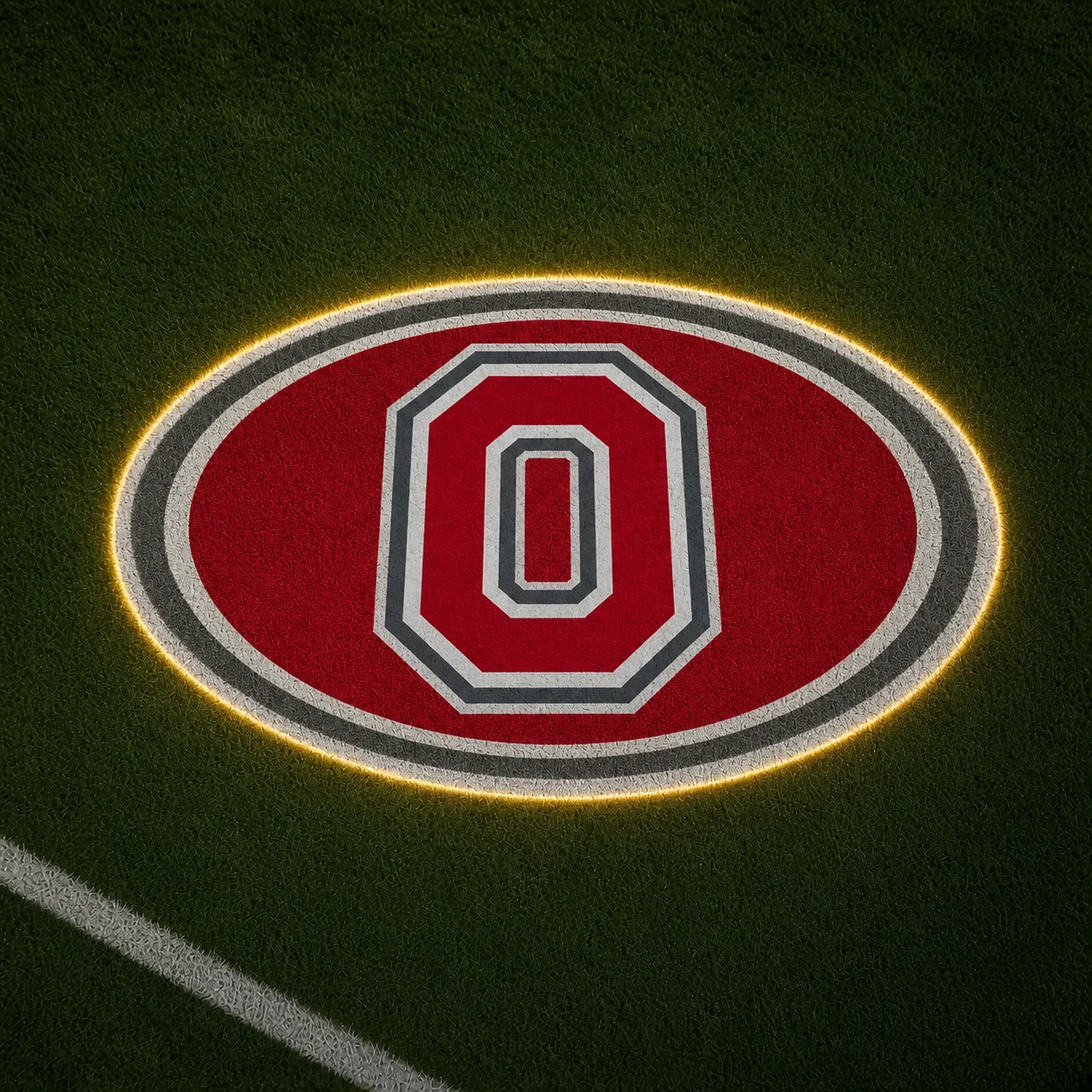 Ohio State Buckeyes Football Car Door Projector Light