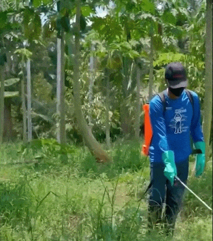 🌱 Schluss mit lästigem Unkraut! Unser Premium-Vernichter für dauerhafte Ruhe! 🌱  