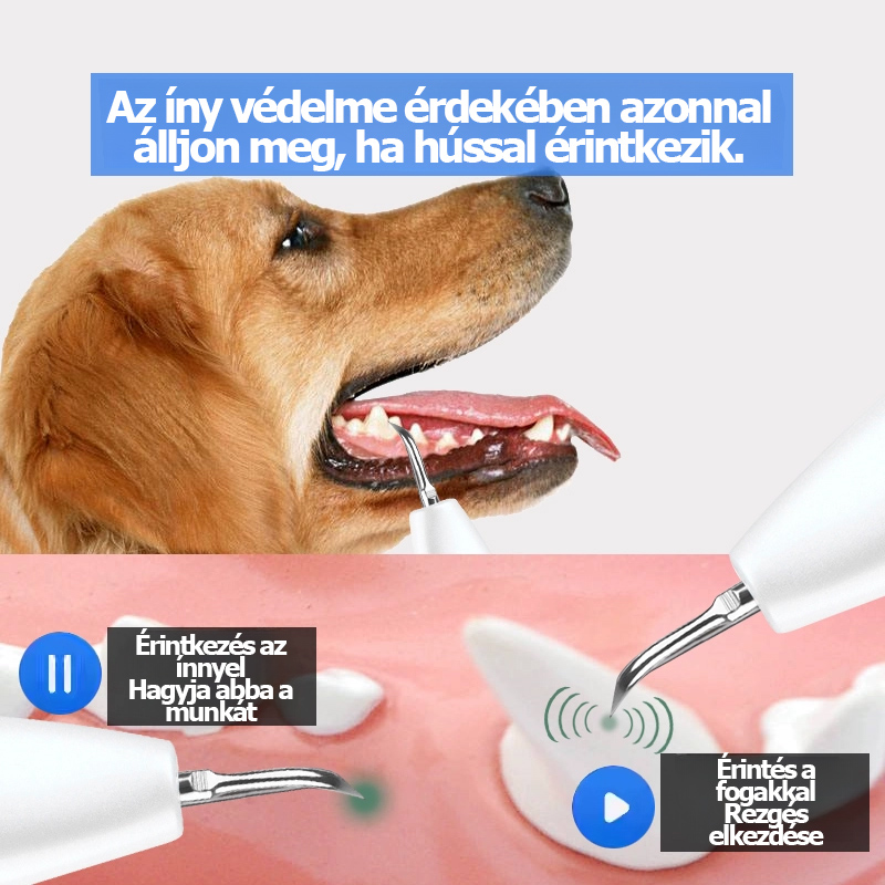 Fogkő eltávolító kutyáknak, ultrahangos fogtisztító háziállatoknak, macskafog-tisztító eszköz, mini fogtisztító.