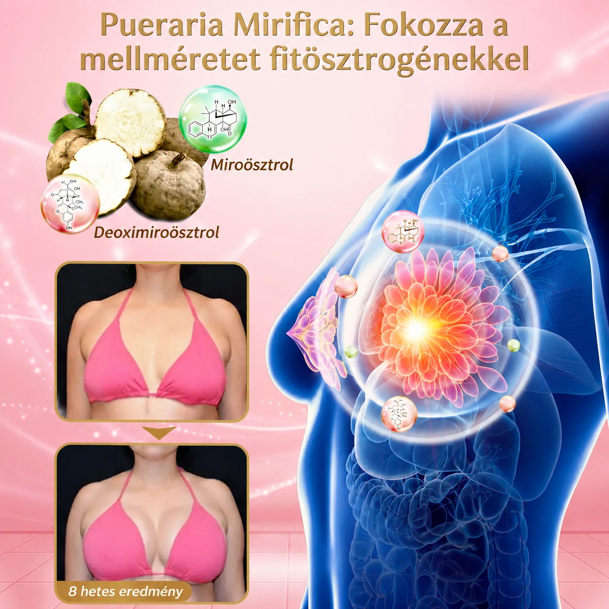 [Copy]ÉCLANCIER® 3 az 1-ben nanotűs tapaszok | Mellnagyobbítás • Fenékemelés • Feszesítő támogatás