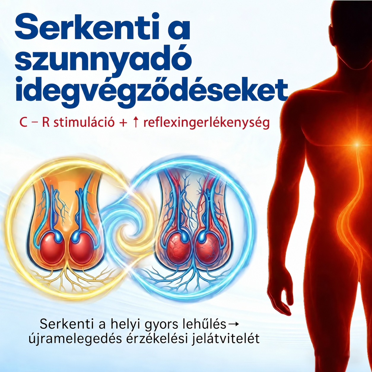 ⚡Acezozla® Exon-Max 60 Azonnali erekciót elősegítő krém