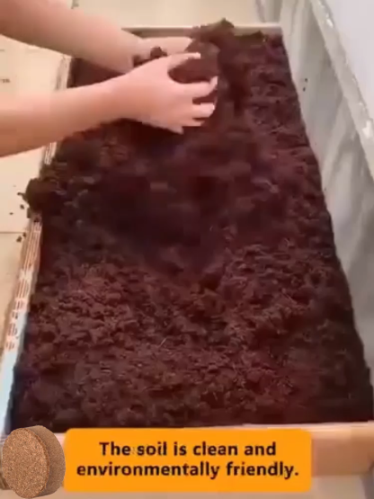 🪴Naturalna i przyjazna dla środowiska ziemia doniczkowa z włókna kokosowego, wolna od owadów i sterylna, ułatwiająca sadzenie🧱