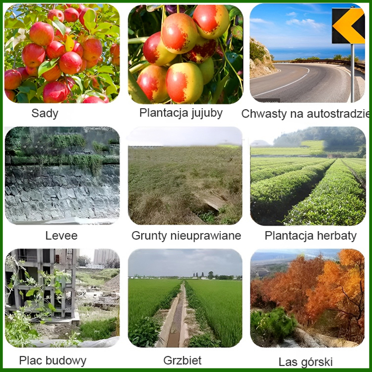 🧨 [Kup jeden, drugi otrzymasz gratis] Skuteczny środek do całkowitego zwalczania chwastów | Szybkie działanie w ciągu 24 godzin • 99% skuteczności eliminacji