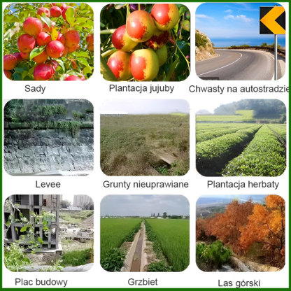 🧨 [Kup jeden, drugi otrzymasz gratis] Skuteczny środek do całkowitego zwalczania chwastów | Szybkie działanie w ciągu 24 godzin • 99% skuteczności eliminacji