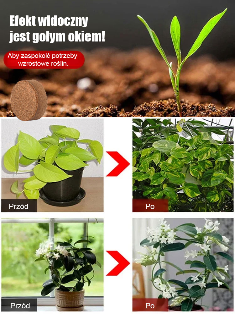 🪴Naturalna i przyjazna dla środowiska ziemia doniczkowa z włókna kokosowego, wolna od owadów i sterylna, ułatwiająca sadzenie🧱