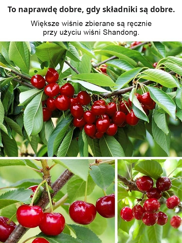 【🍒Kup jeden, drugi gratis】 Wiśnie zbierane ręcznie z sadu! 🌟Suszone wiśnie, 2,2 kg świeżych owoców zredukowane do 450 g suszonych owoców