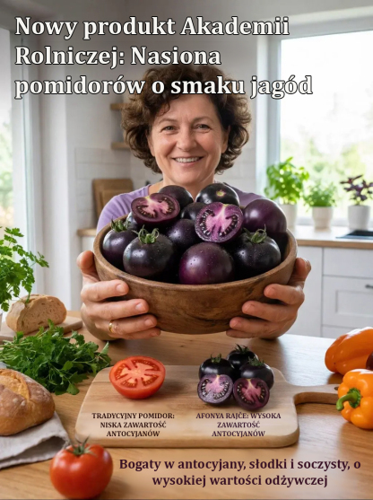 🍅Nasiona borówki amerykańskiej i pomidora, wysoka zdolność kiełkowania, wytrzymałe rośliny, ulepszone odmiany gwarantujące obfite zbiory!