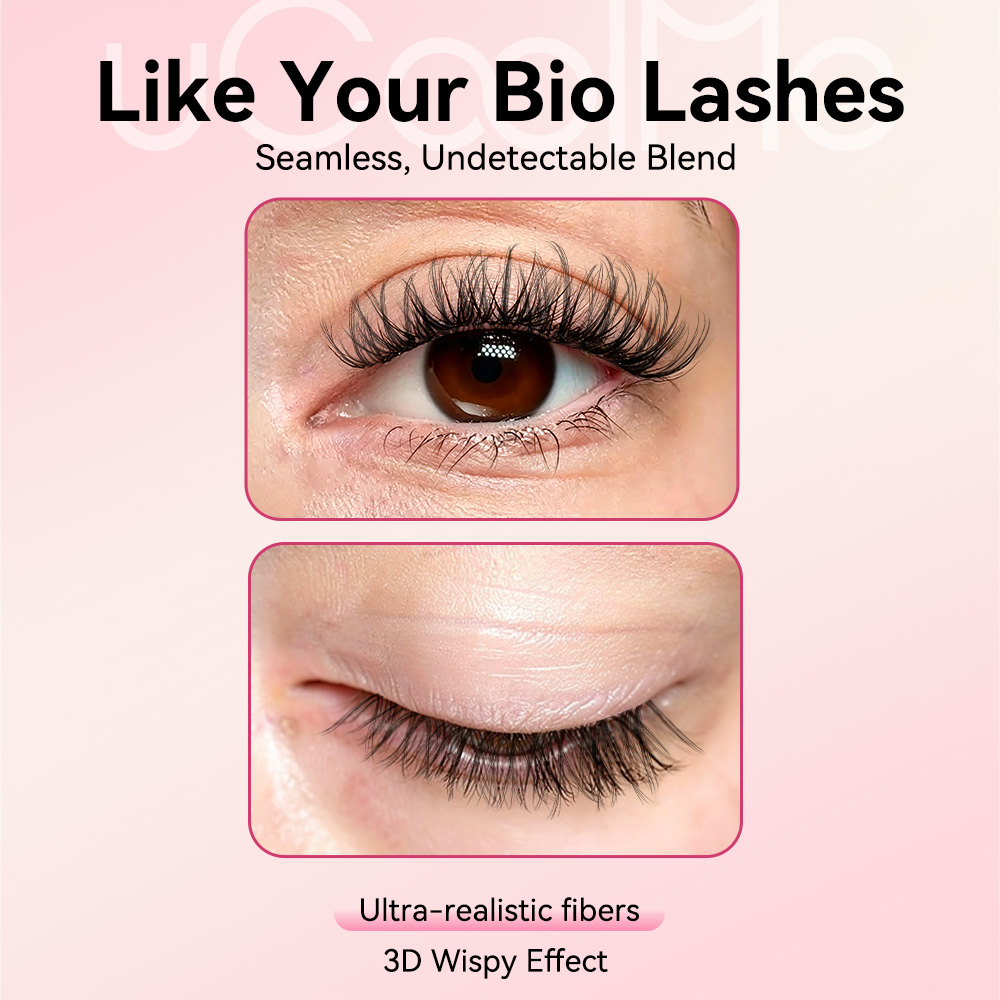 Hazy Natural Wispy Lash Kit
