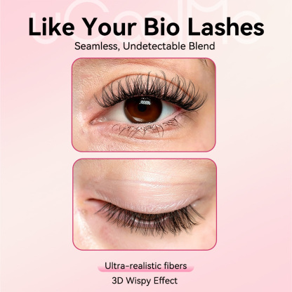 Hazy Natural Wispy Lash Kit