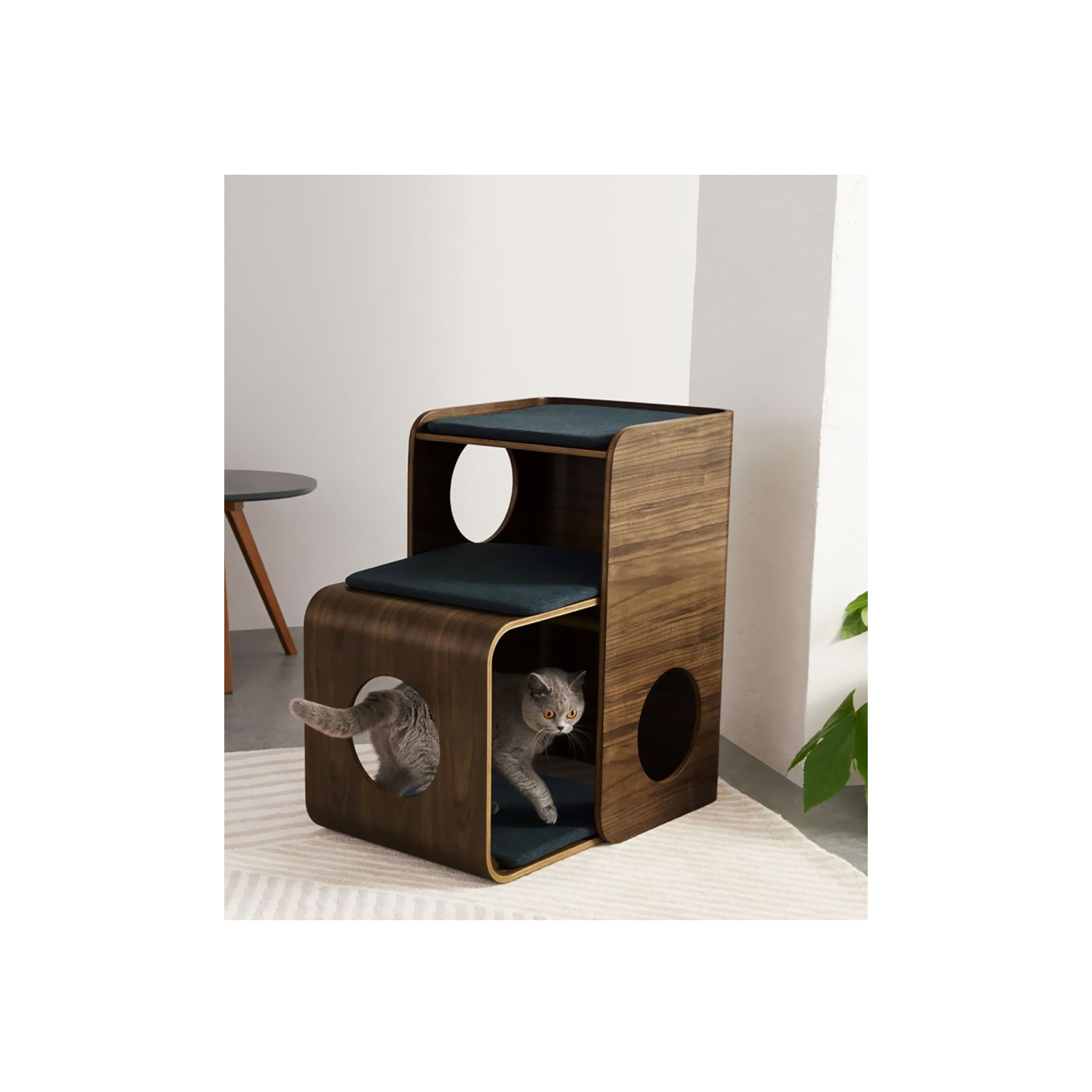 Black Walnut Pet Side Table