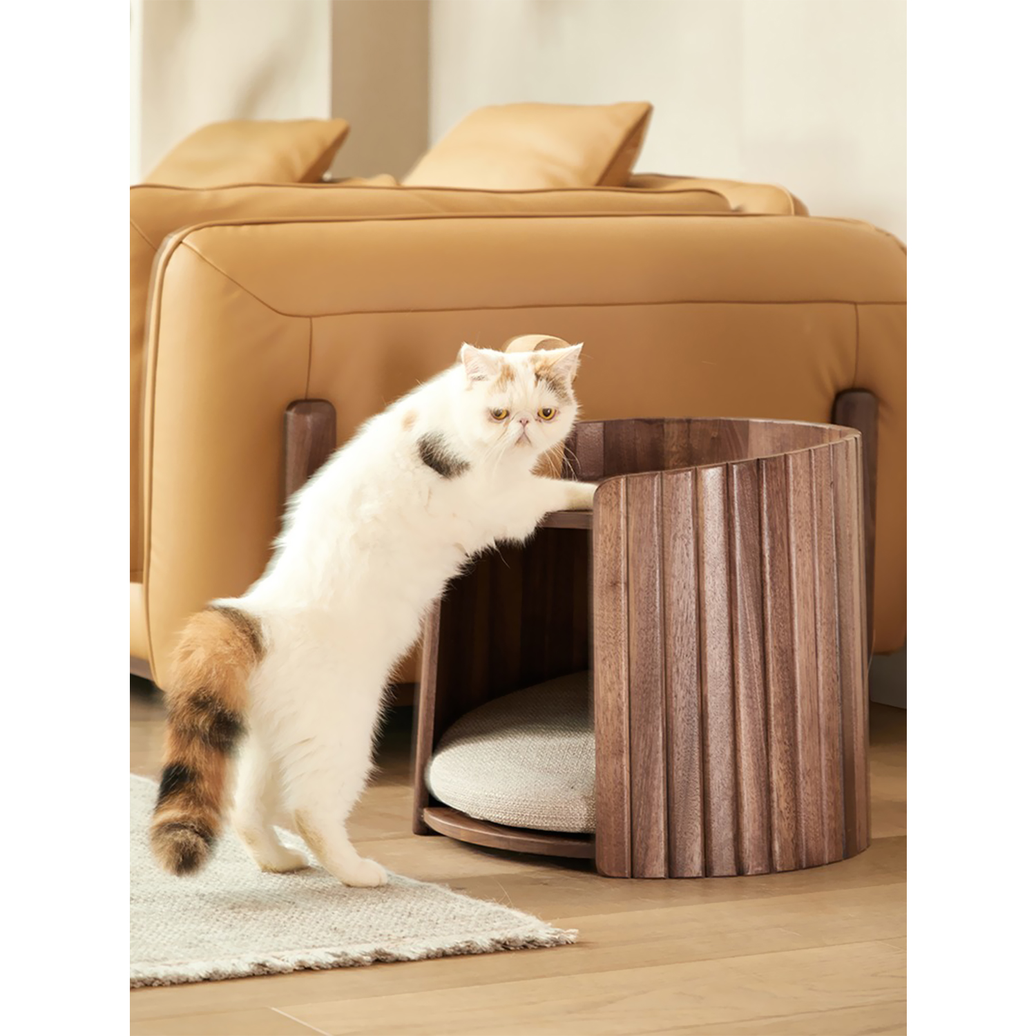North American Black Walnut Cat Bed Side Table