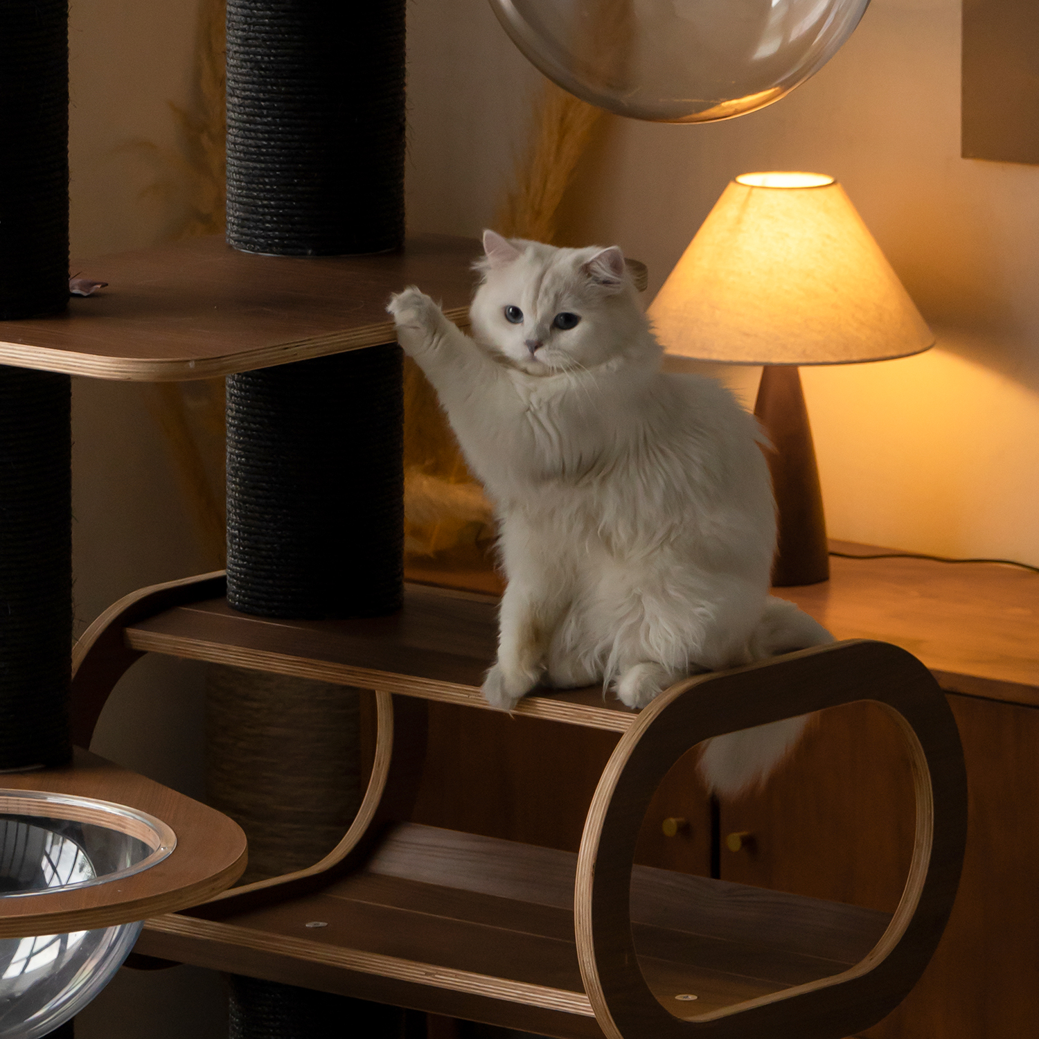 62"Solid Wood Cat Tree
