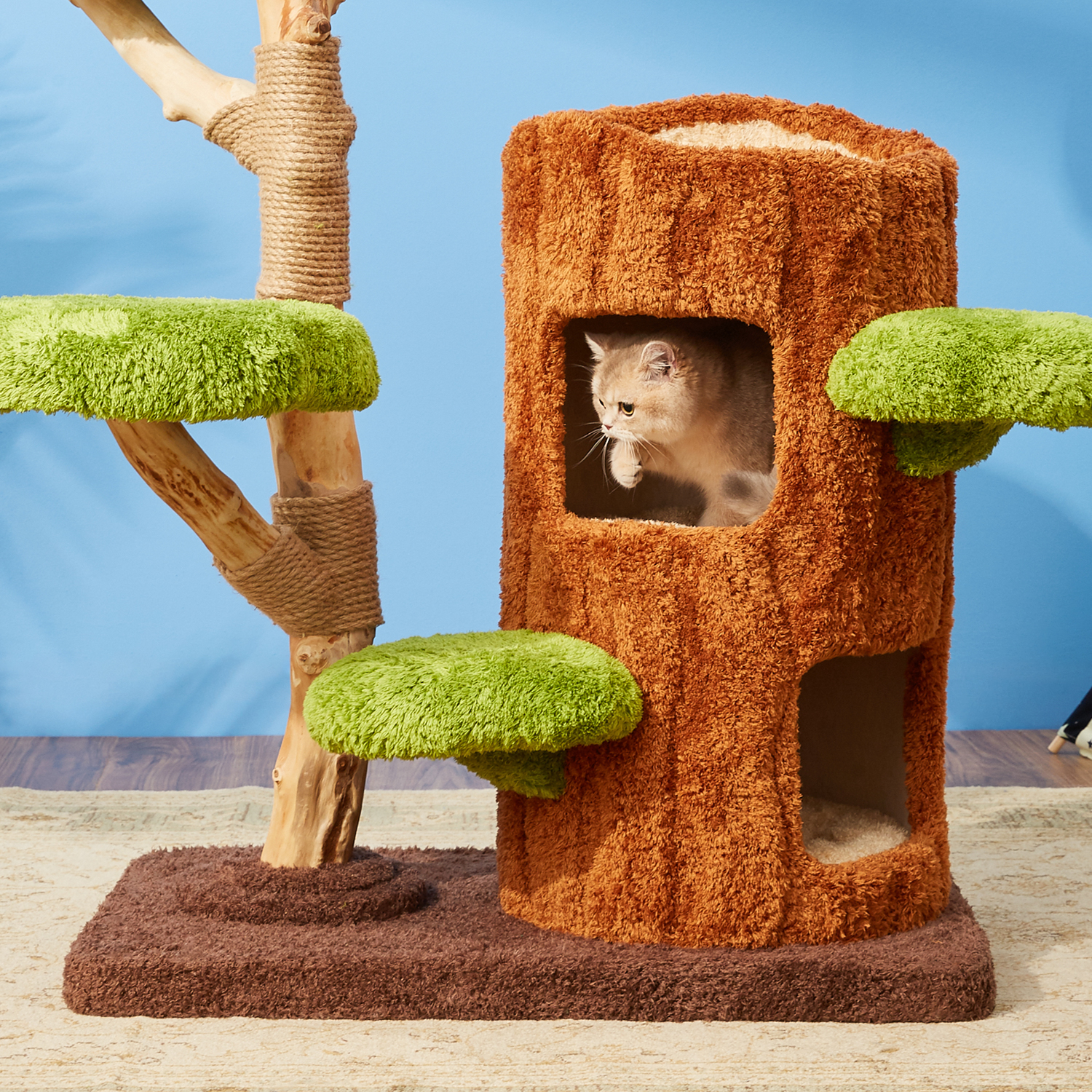 55" H Solid Wood Modern Cat Tree Tower Condo
