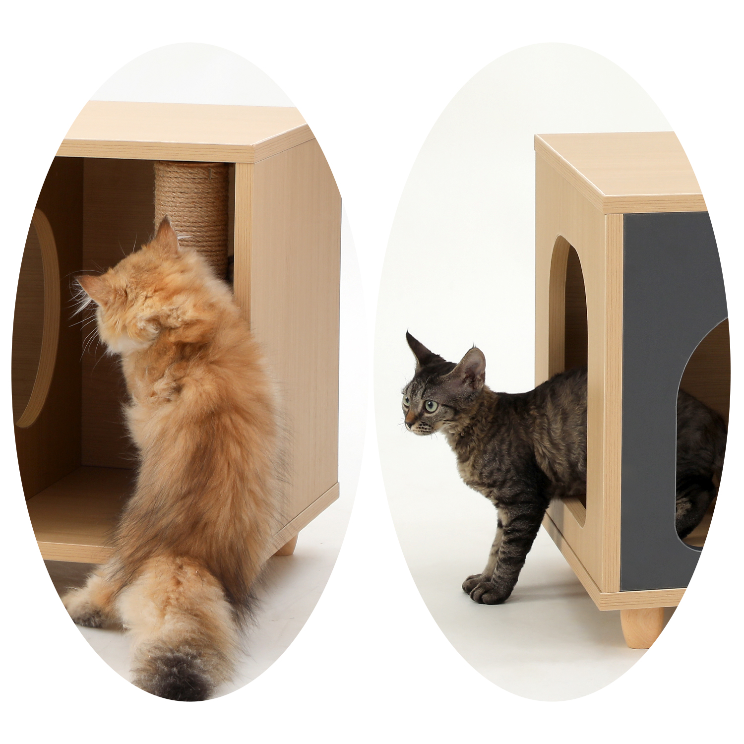 4 Legs Contrasting Color Pet-Friendly Coffee Table with Storage