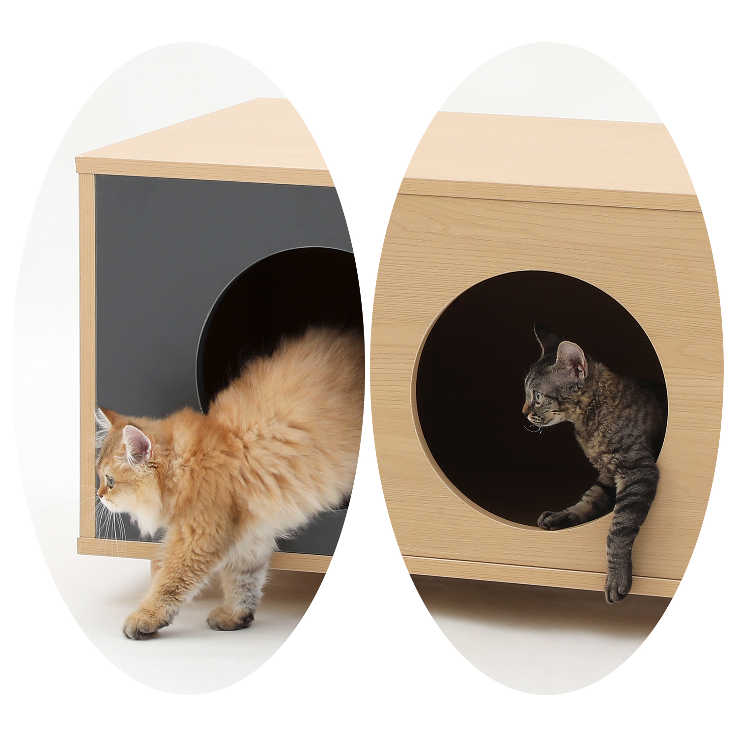 4 Legs Contrasting Color Pet-Friendly Coffee Table with Storage