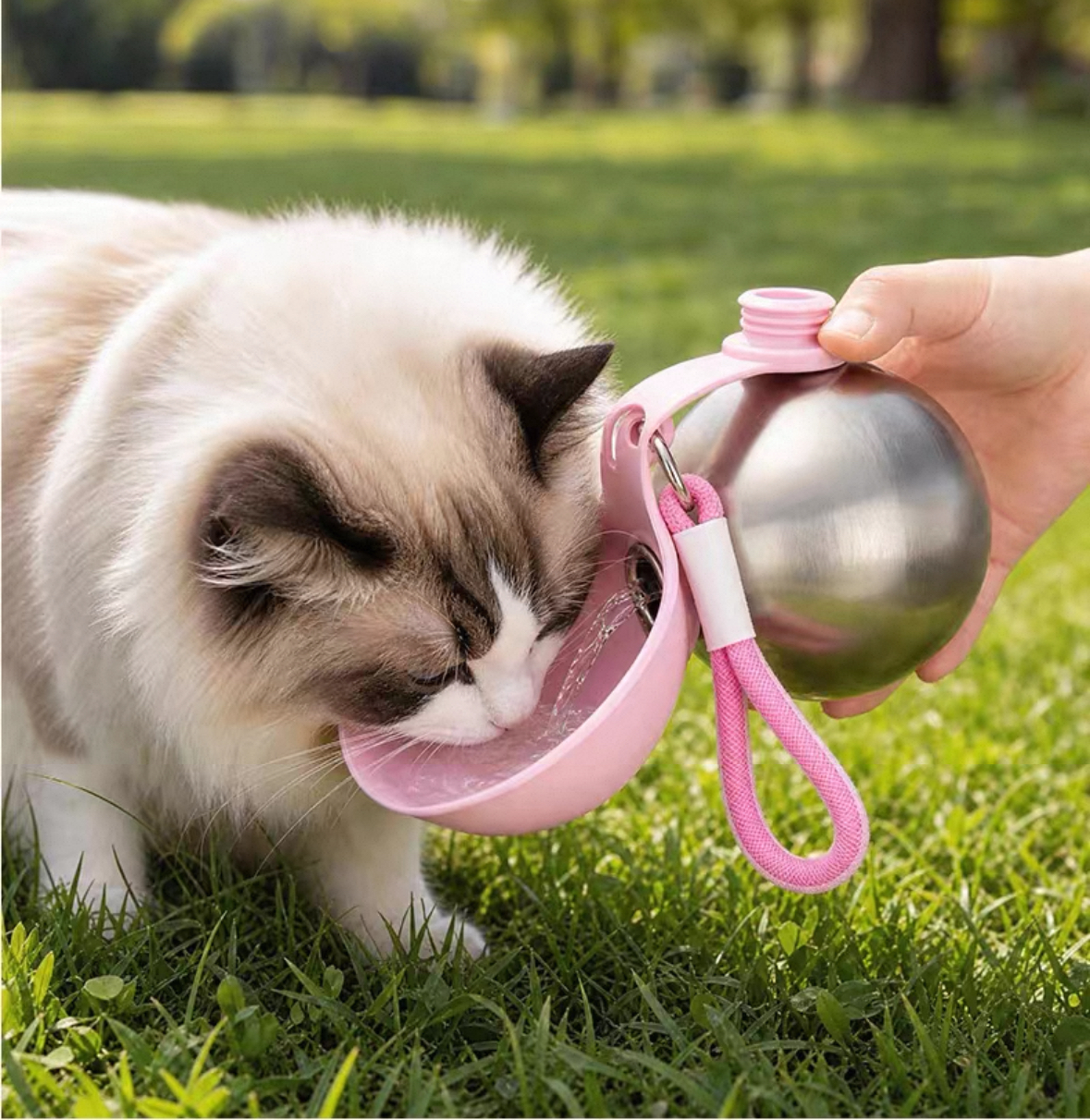 304 Stainless Steel Pet Water Bottle | Portable Dog Water Dispenser for Walking, Travel & Outdoor Use | Leak-Proof Cat & Dog Drinking Bottle