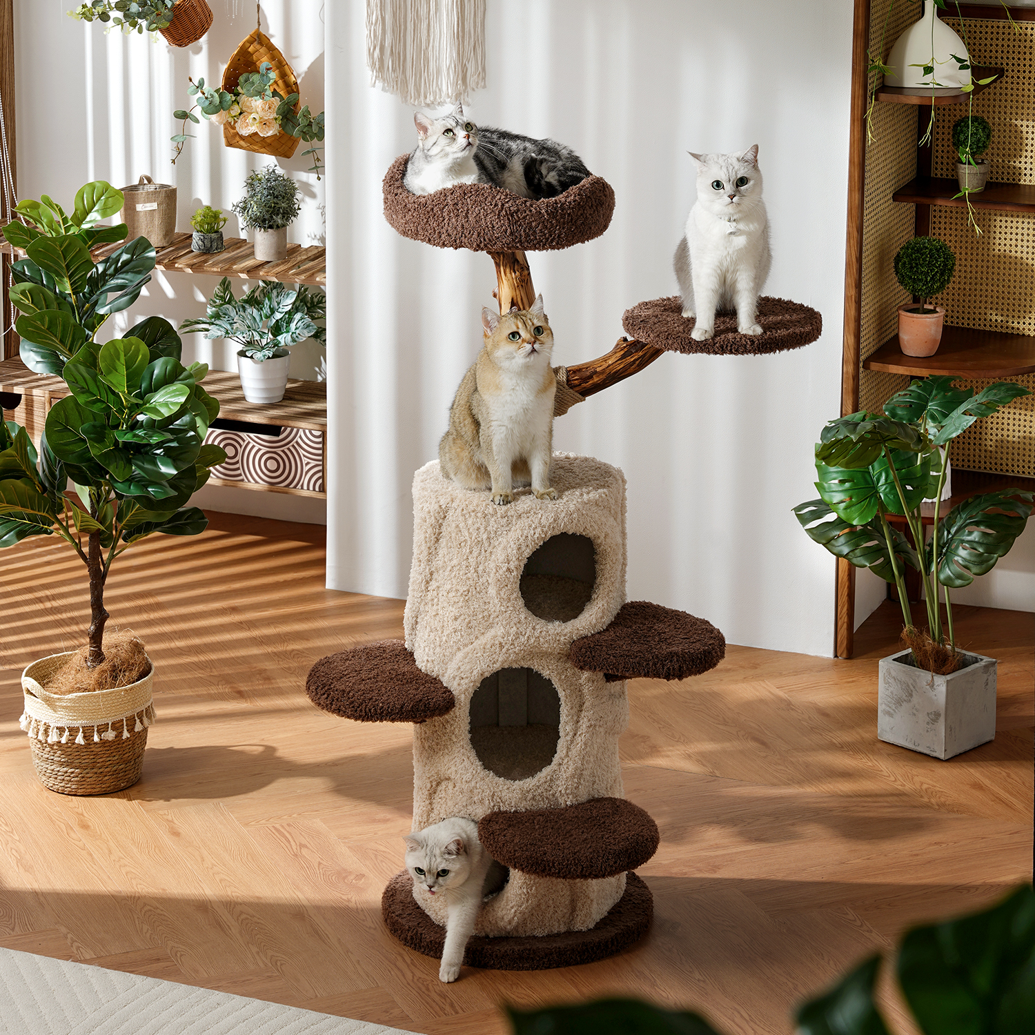 54.7'' H Solid Wood Cat Tree / Multi Cat Condo Cat Climbing Shelf