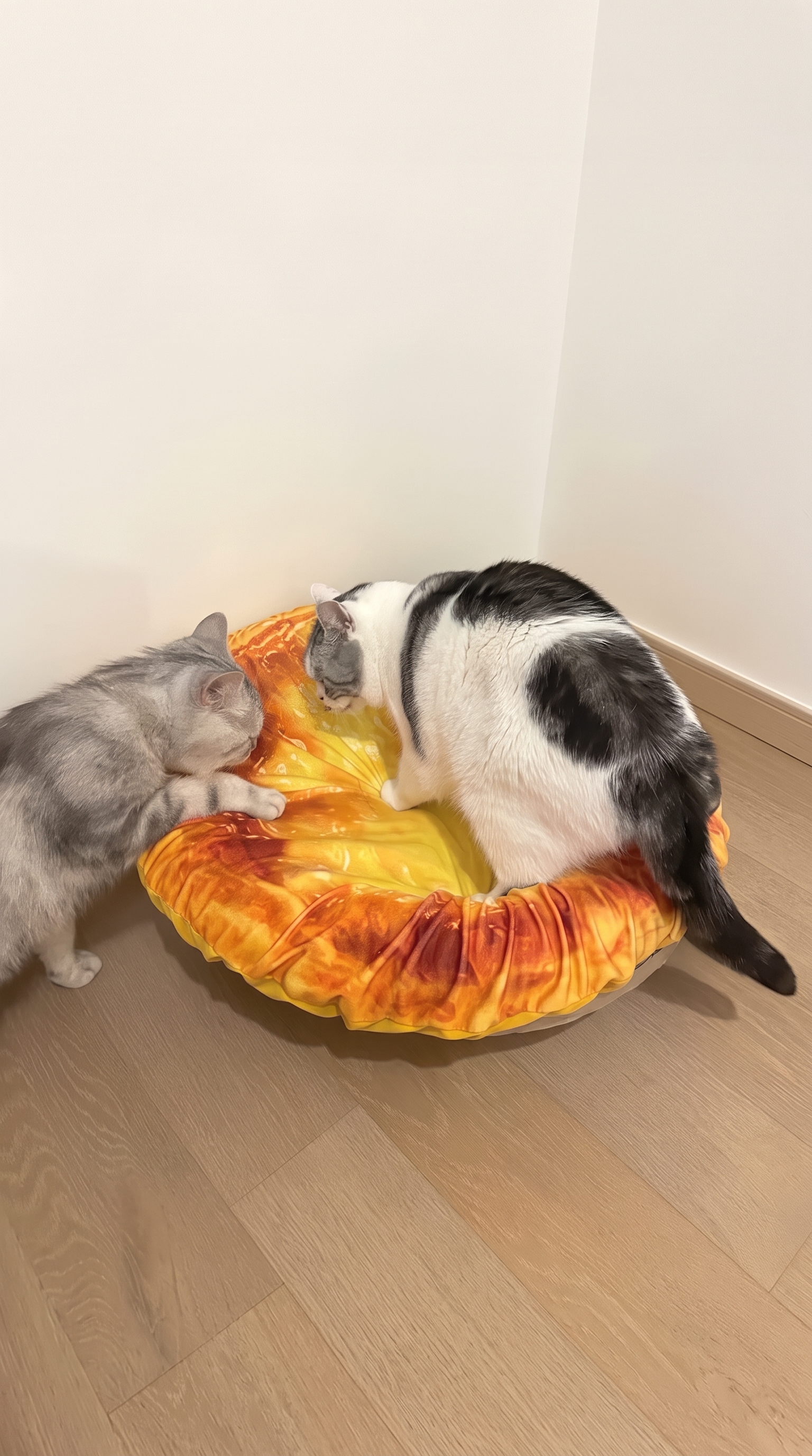 Cute Egg Tart Cat Bed & Scratcher – Removable All-Season Cat House