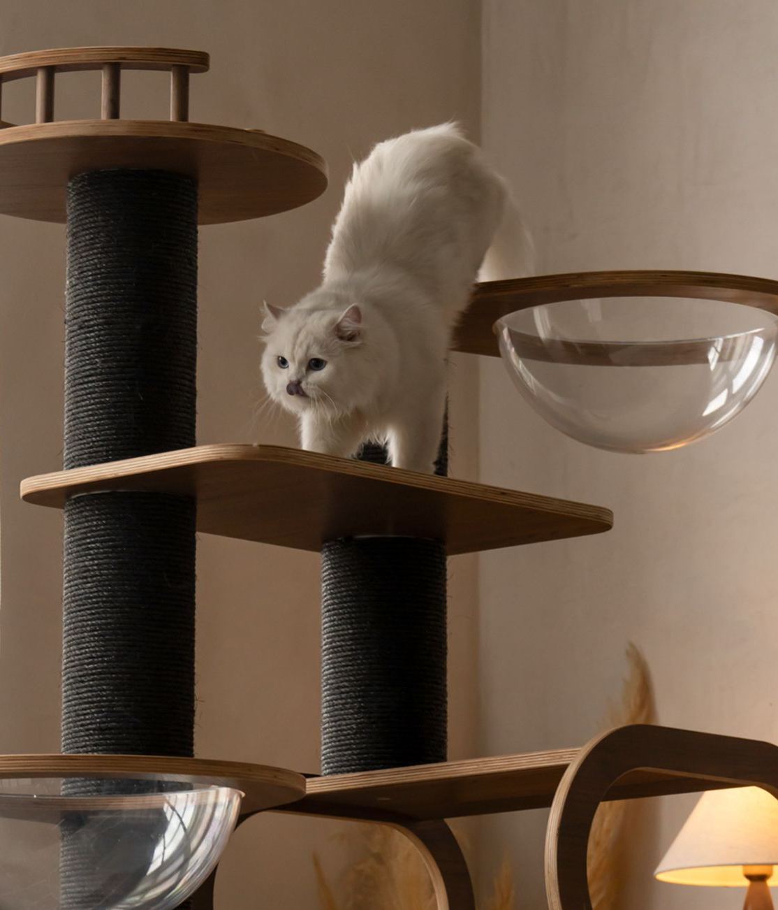 62"Solid Wood Cat Tree