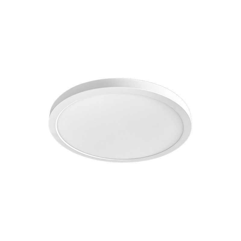 Surface mounting Downlight RP-2507