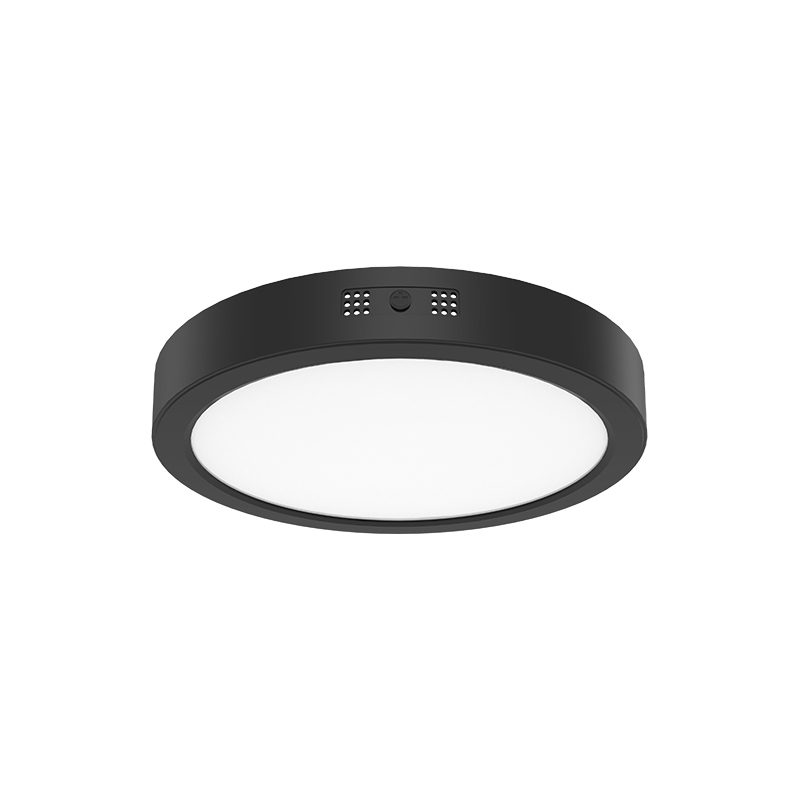 Surface mounting Downlight RP-310