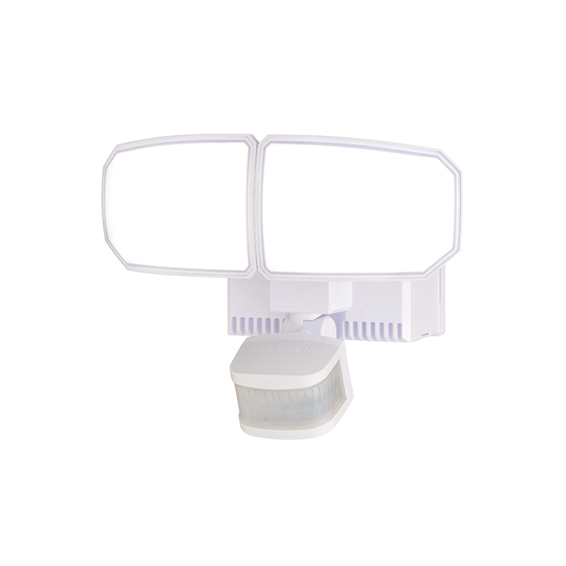 Security FloodLight HWS25012H