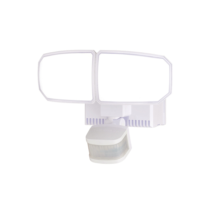 Security FloodLight HWS25012H