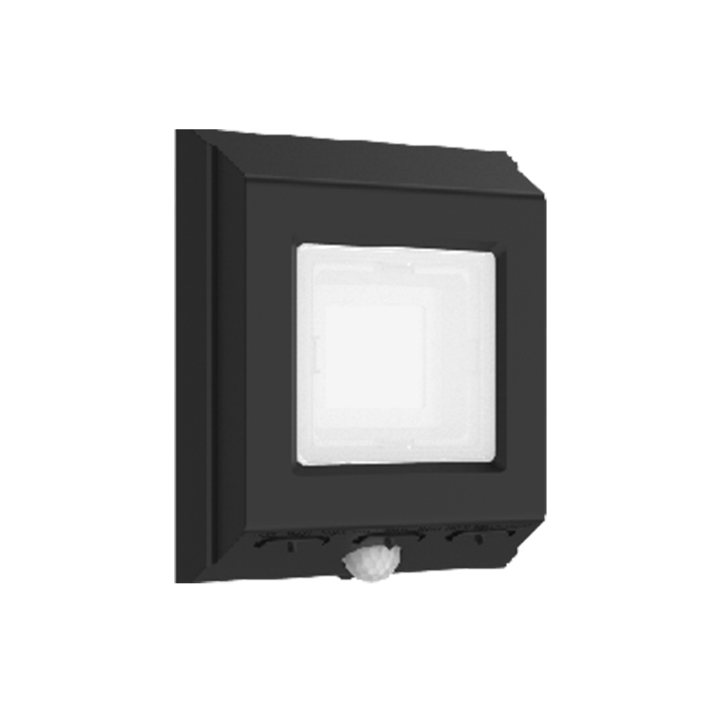 Security Light HWS2507WL