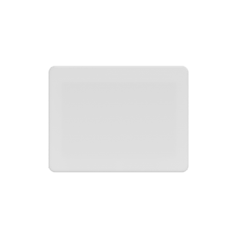Security FloodLight HWS25031H
