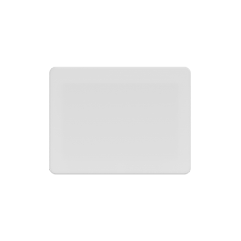 Security FloodLight HWS25031H