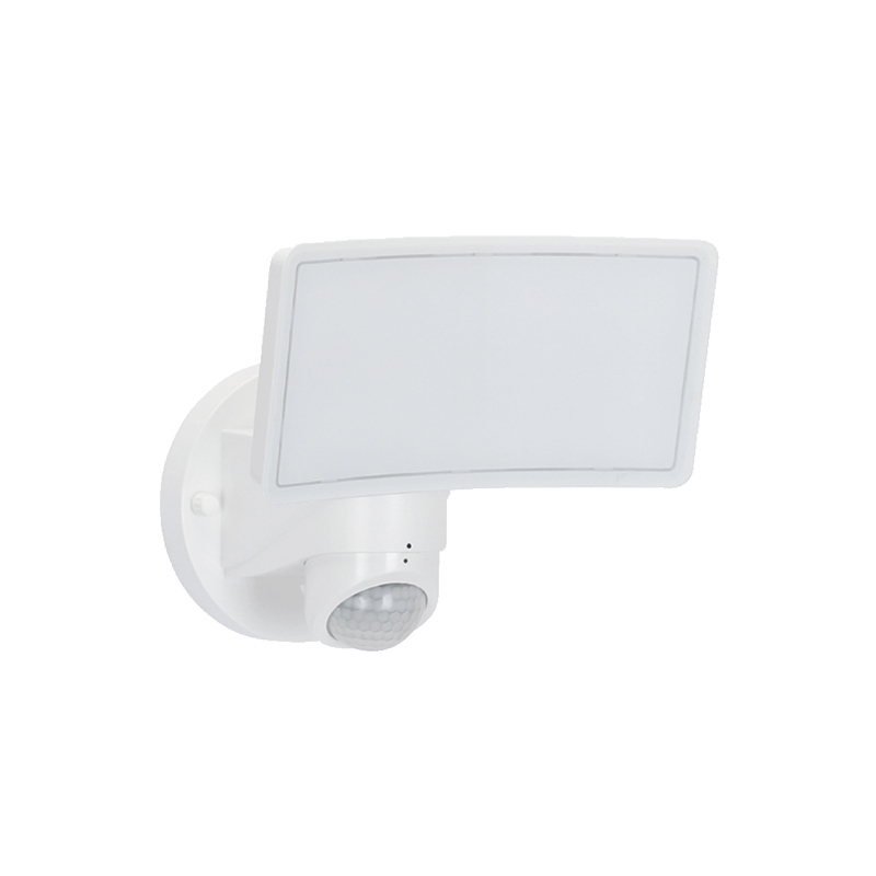 Security FloodLight HWS25041H