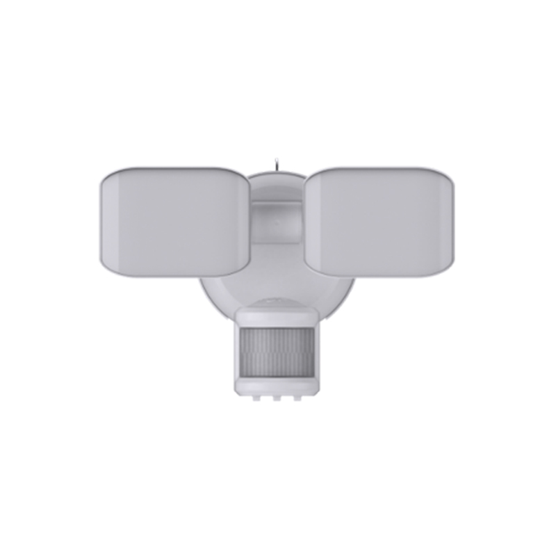 Security Lighting BTS25022H