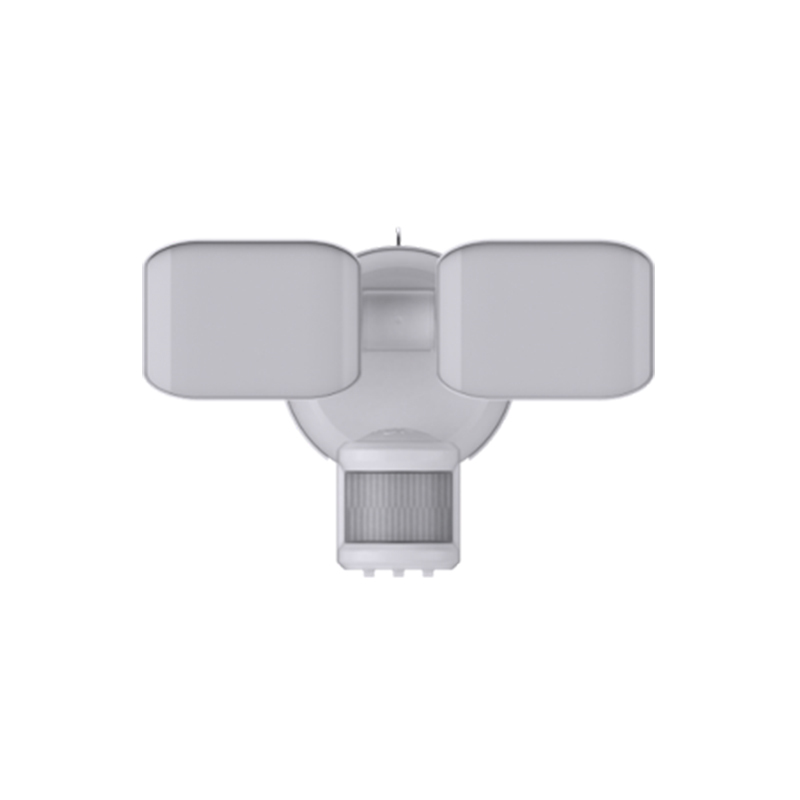 Security Lighting BTS25022H