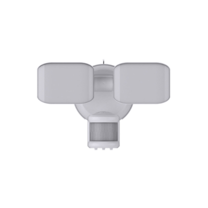 Security Lighting BTS25022H
