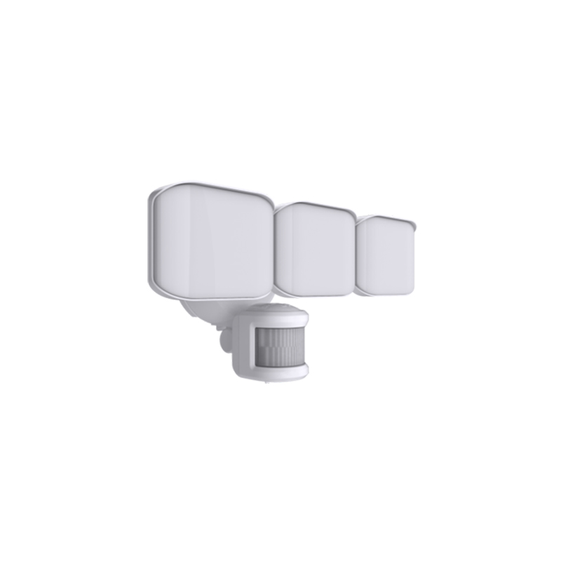 Security Lighting BTS25023H