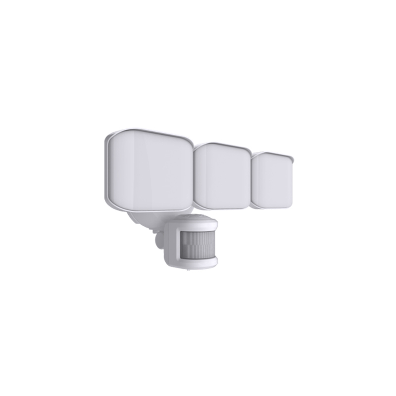 Security Lighting BTS25023H