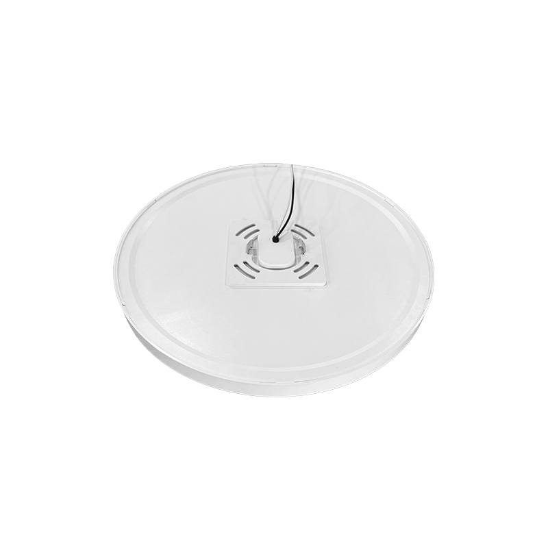 Surface mounting Downlight RP-2507