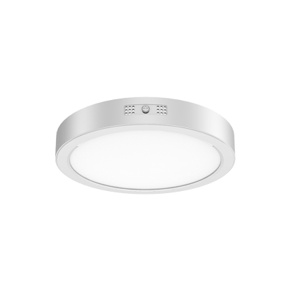 Surface mounting Downlight RP-310