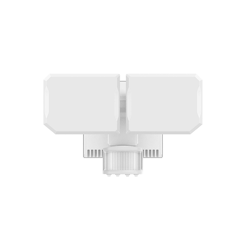 Security FloodLight HWS25012H