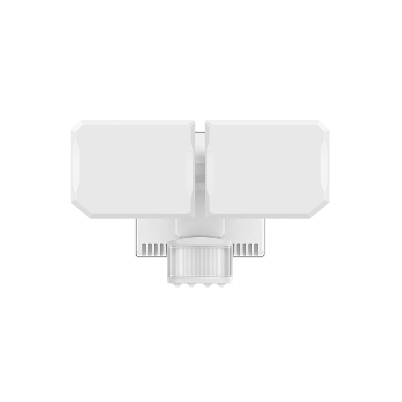 Security FloodLight HWS25012H