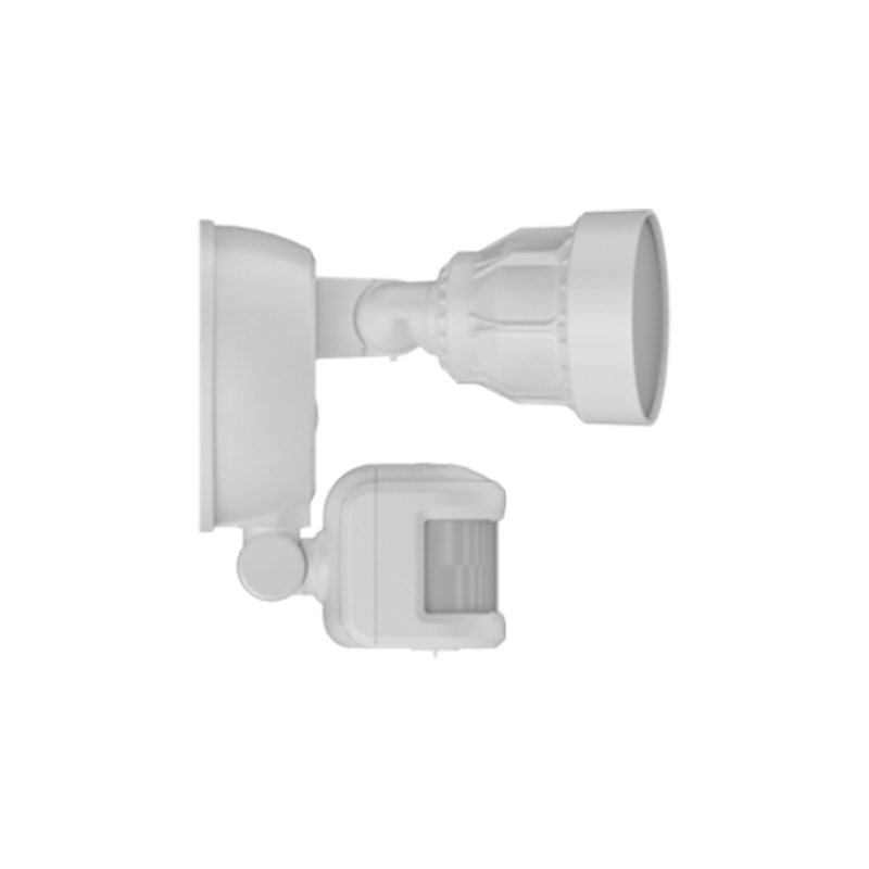 Security FloodLight HWS25022H