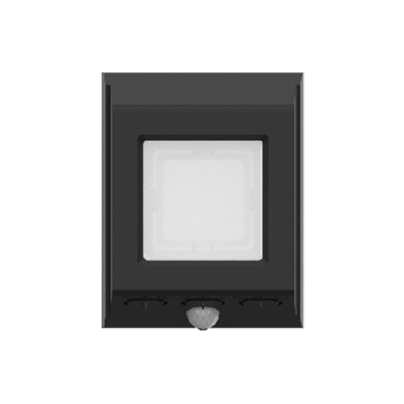 Security Light HWS2507WL