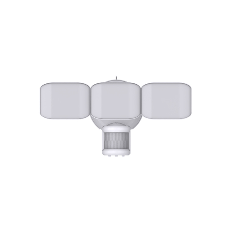 Security Lighting BTS25023H