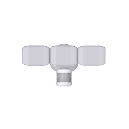 Security Lighting BTS25023H