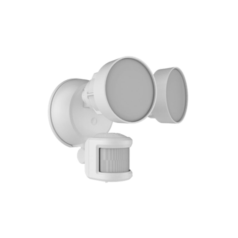 Security FloodLight HWS25022H
